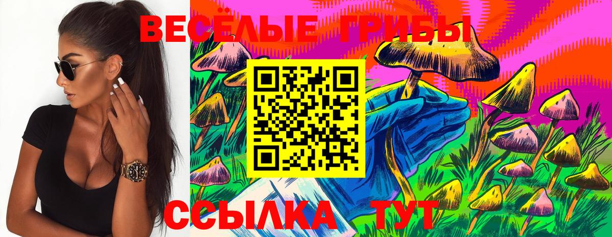 Галлюциногенные грибы прущие грибы Коряжма