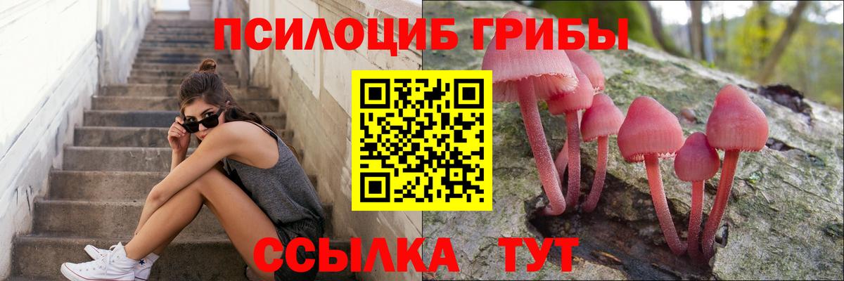 Галлюциногенные грибы мухоморы  где купить наркоту  Вход с VPN  Коряжма  Псилоцибиновые грибы Magic Shrooms 